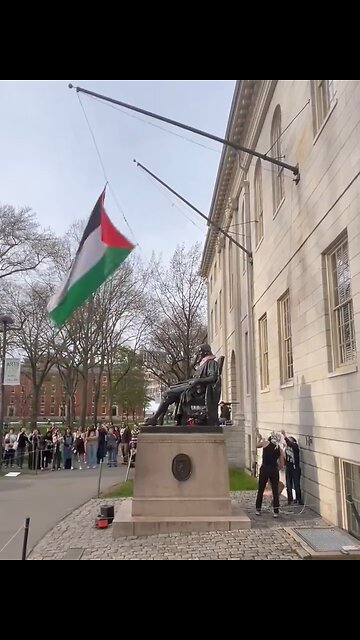 Pro Hamas Harvard Students Replace The American Flag With Palestinian Flag
