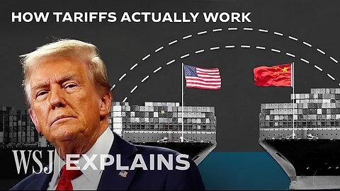 Why Economists Hate Trump's Tariff Plan | WSJ