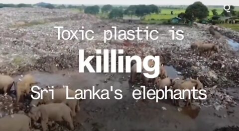 🚨IS THIS CENSORED❓