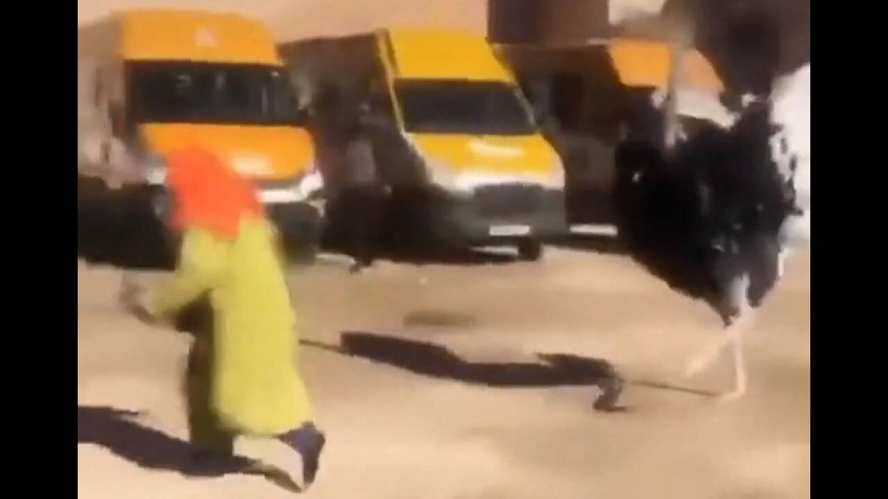 Looks Like Big Bird Is Islamophobic