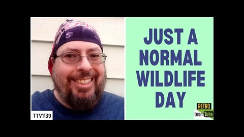 JUST A NORMAL WILDLIFE DAY - 020321 TTV1139