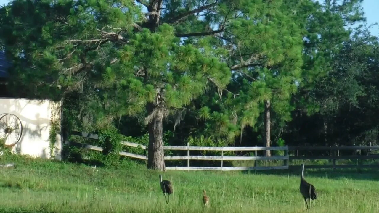 And the baby makes 3