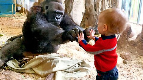 Little Friends Have Up Close Encounter With Animals At The Zoo