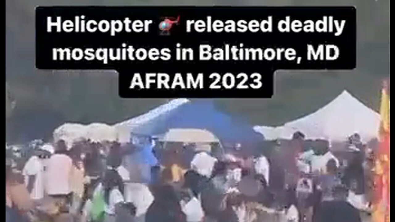 The AFRAM 2023 festival in Maryland plagued with mosquitos released from helicopter - HaloNews