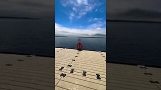 A floating deck on the water