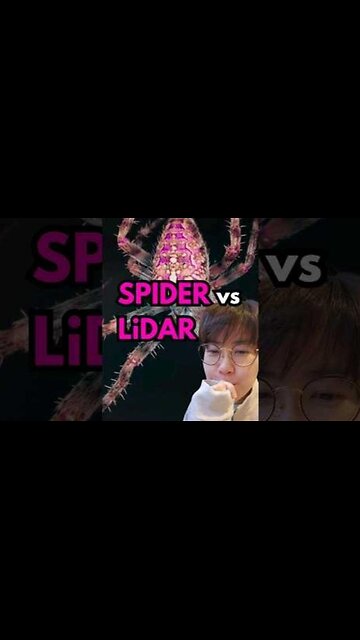 Physics explains spider's behavior LIDAR