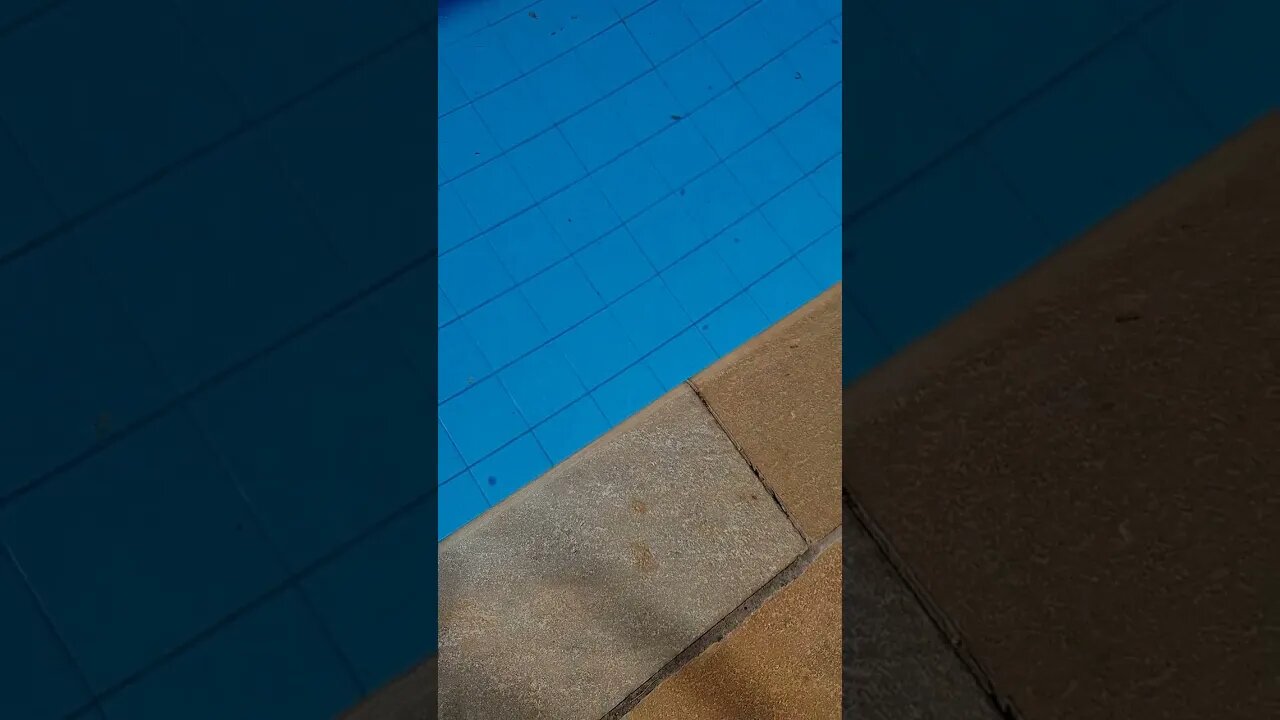 piscina suja ... bora aspirar para poder usar