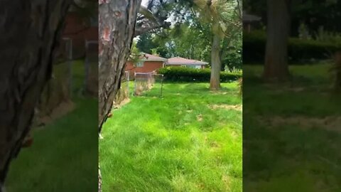 Abandoned neighborhood in Illinois