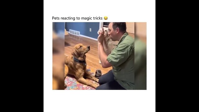 Let’s reacting to magic tricks for the first time😂