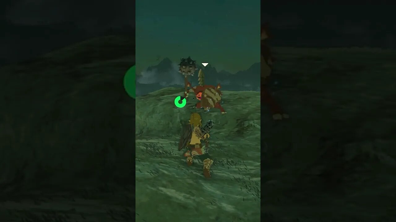 Did You Know in Zelda Tears of the Kingdom? #shorts