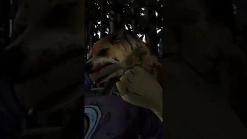 the dogs 🐕 attack on clementine for food scenes_1