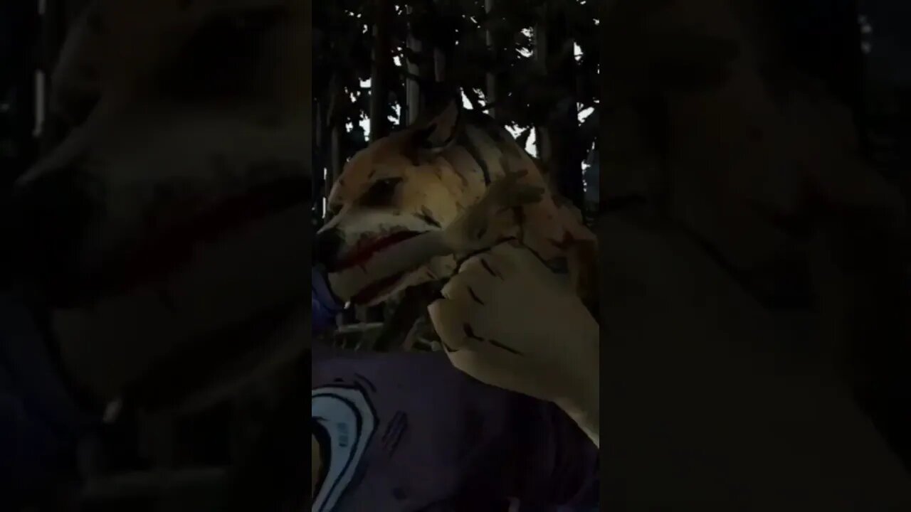 the dogs 🐕 attack on clementine for food scenes_1