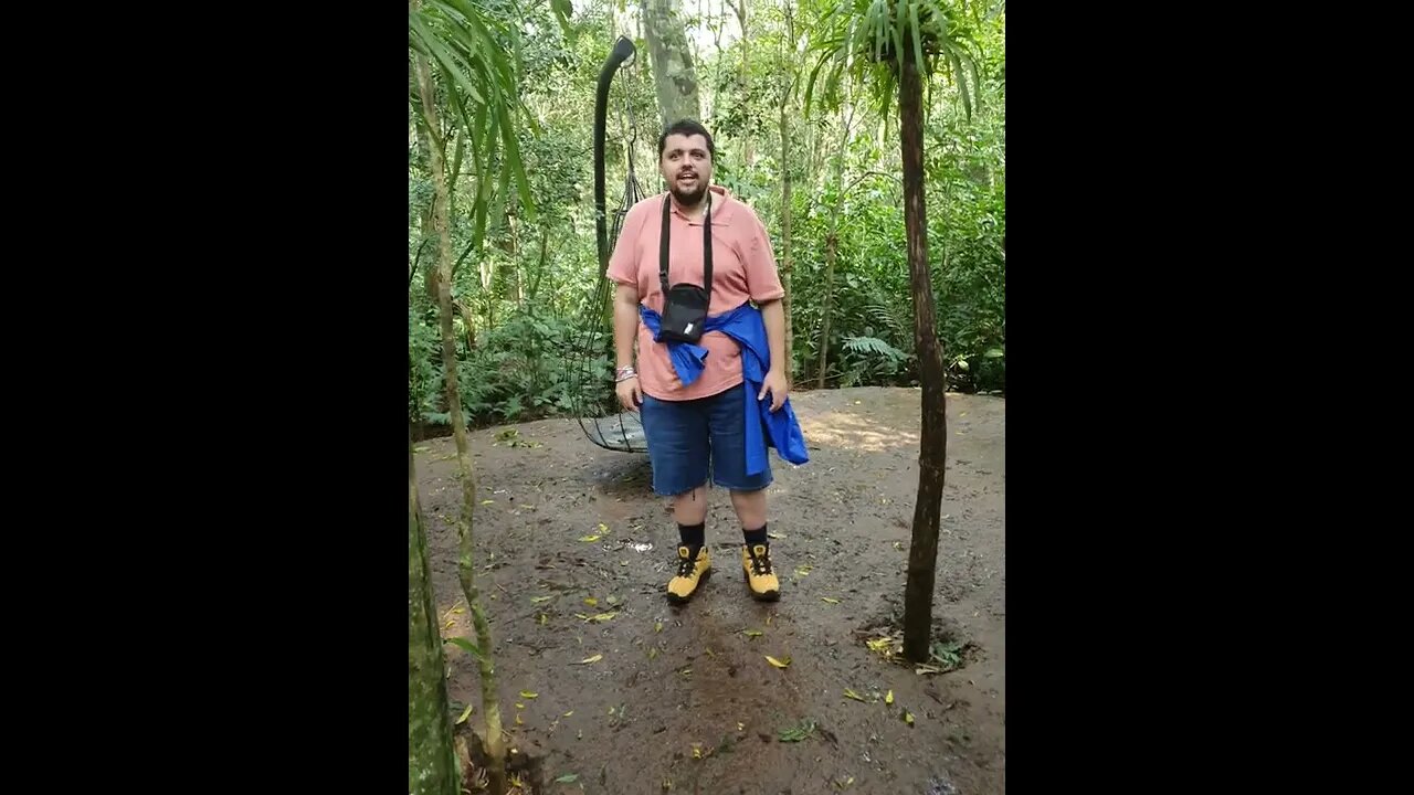 O que eu falei? #shorts #parquedasaves