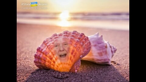The Ultimate Donald Trump Shell Meme! 🐚