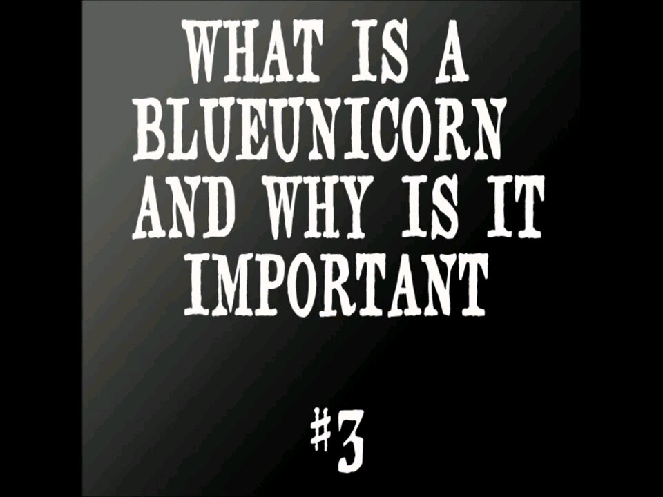 #3 what is a blueunicorn and why is it important - saint Kaufman