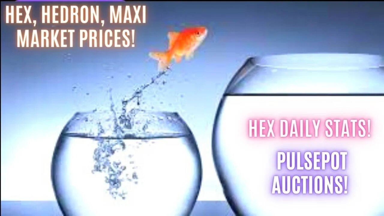 Hex, Hedron, Maxi Market Prices! Hex Daily Stats! PulsePot Auctions!