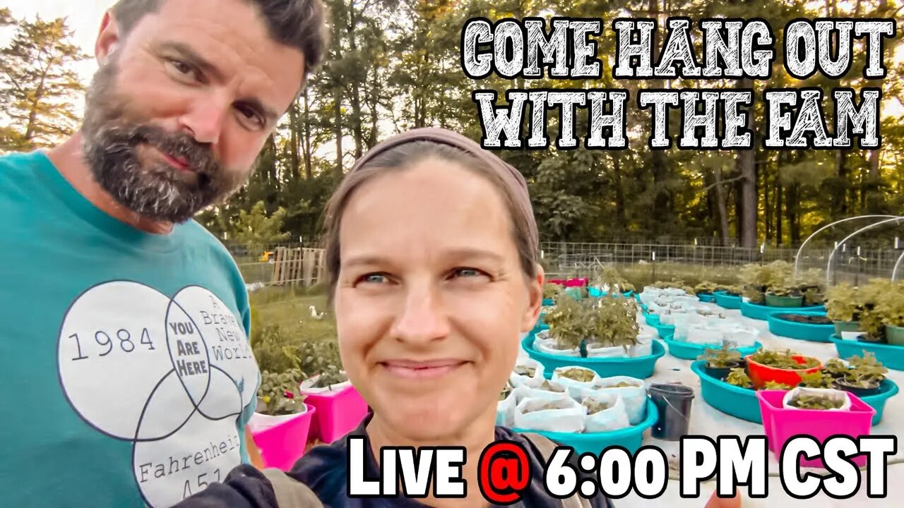 LIVE 6pm CST Hang with the Fam