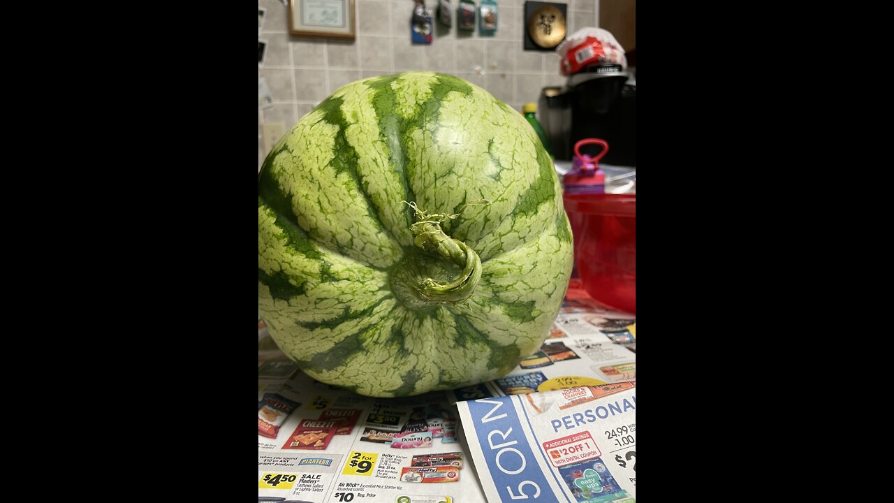 Accidently Creating a Pumpkinmelon