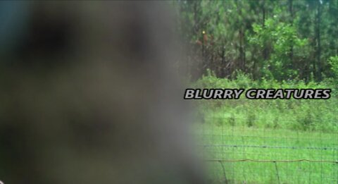 World Bigfoot Radio #152 Pt. 1 ~ Blurry Creatures episode#200/ DUKE and BLURRY CREATURES