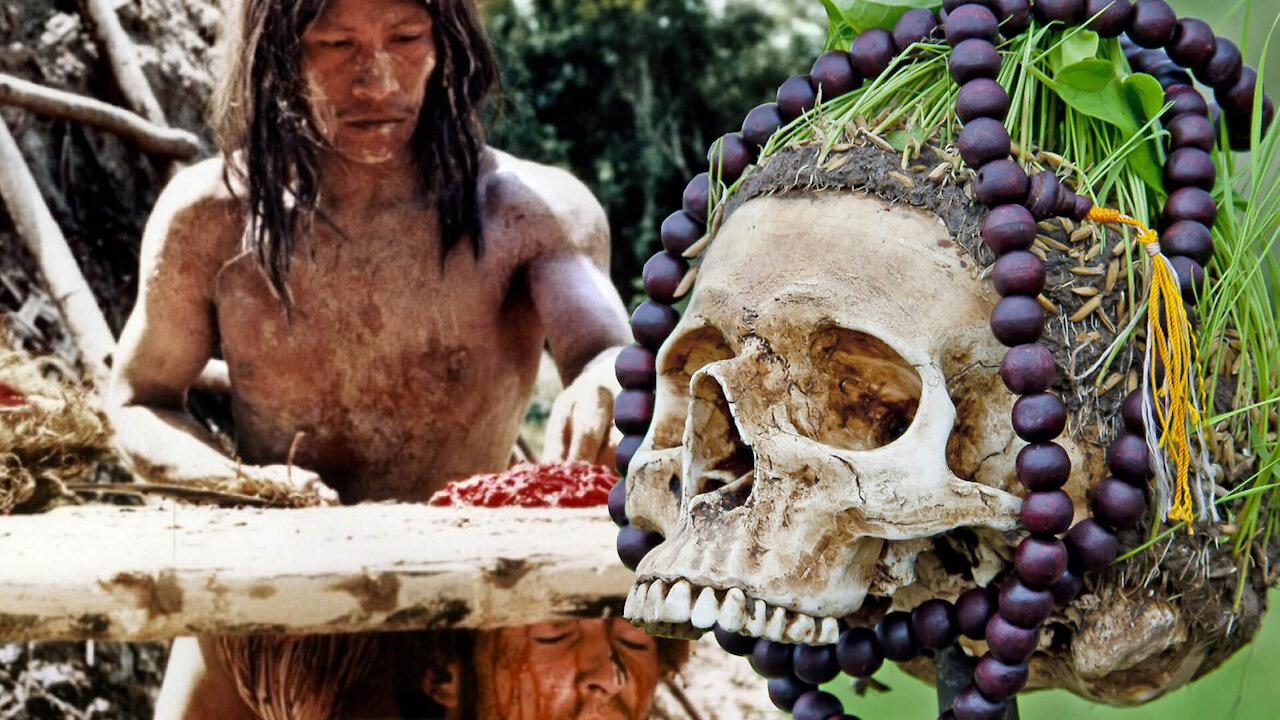 Bite Labs... Buy And Eat Celebrity's...