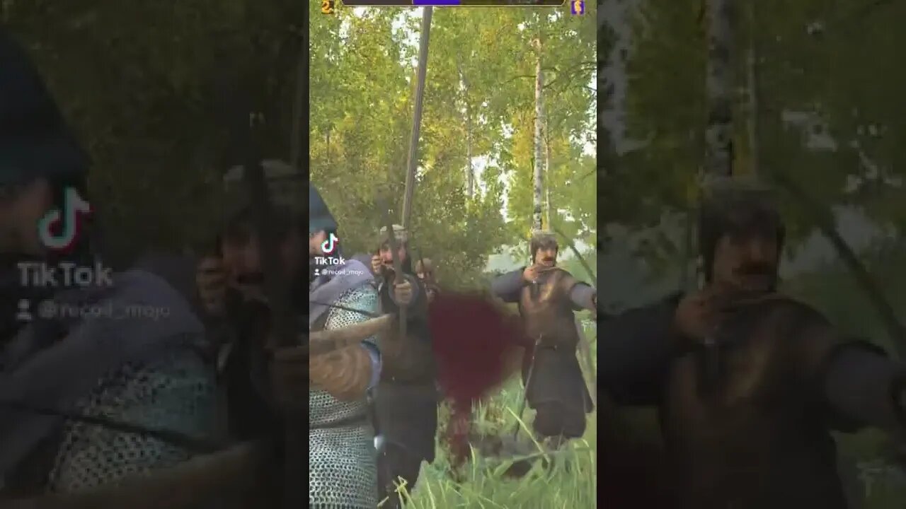 Mount & Blade II: Bannerlord Mods TikTok Gaming PC Clips 2022 134.1K Followers 3.4M Likes 100M Views