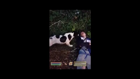 Player w/ Pet Find Skooma Addict Passed Out in Woods - Oblivion NPC