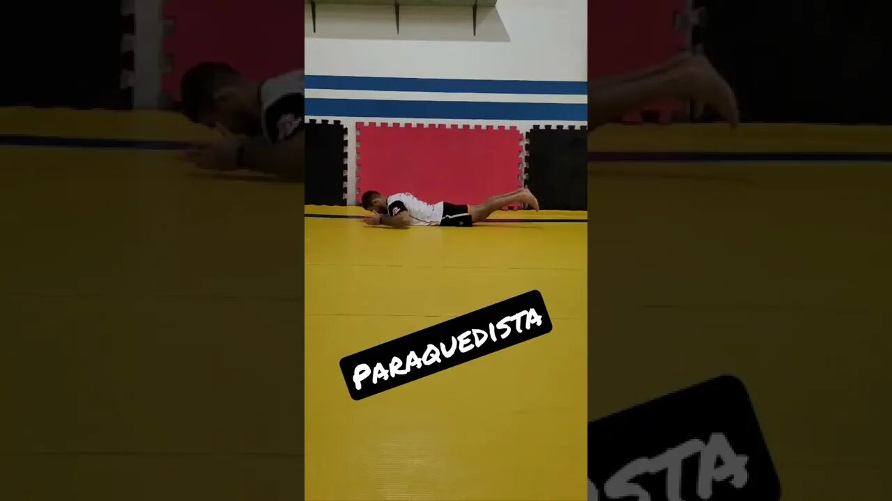 Paraquedista