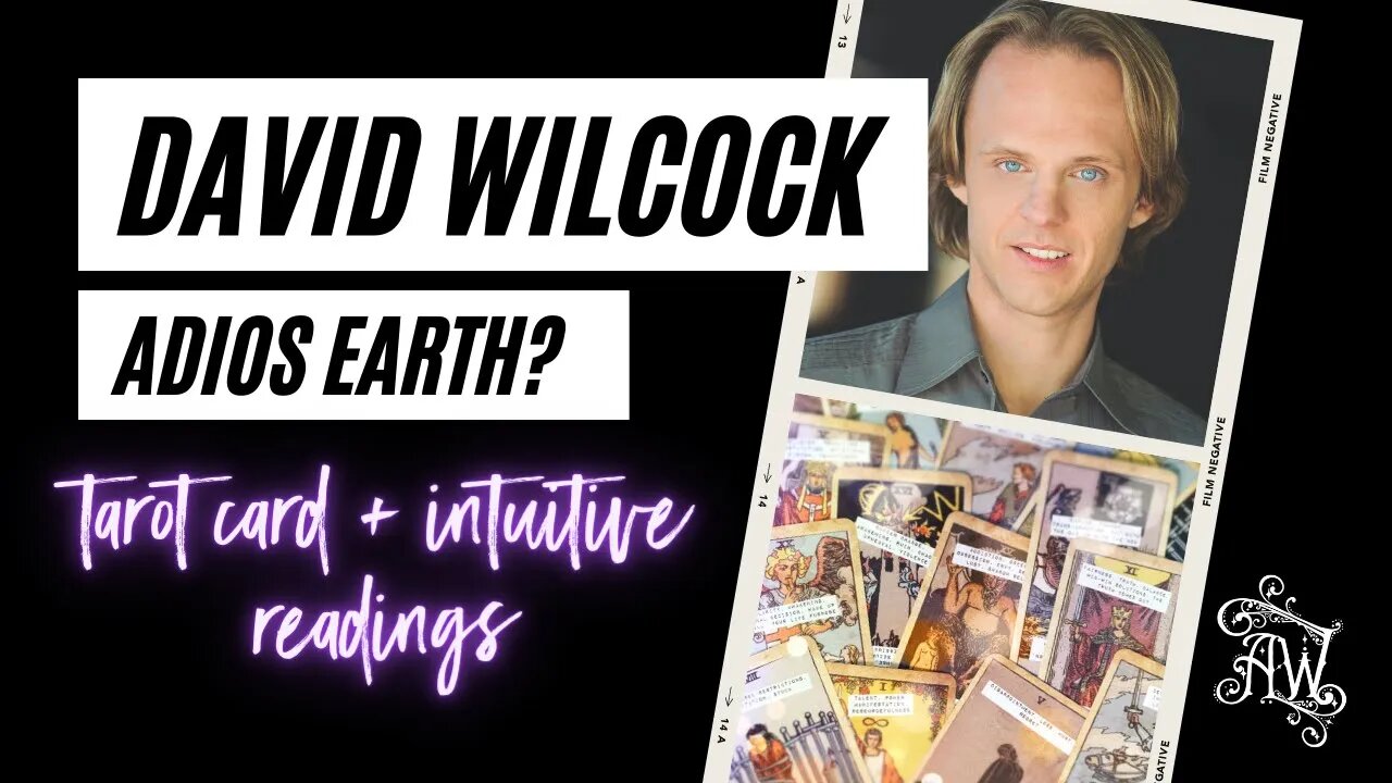 David Wilcock Solar Flash Tarot Card Reading