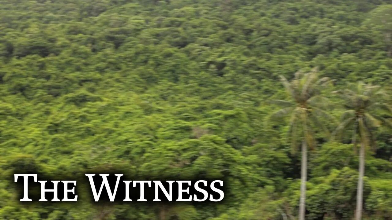 Rumbling the Jungle in The Witness