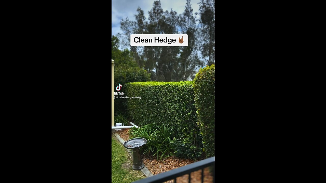 Clean Hedge