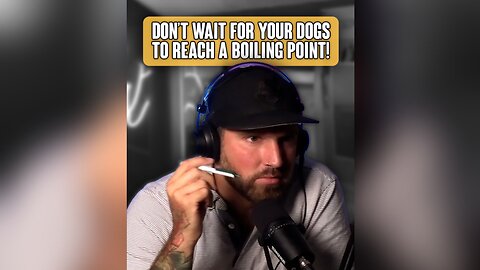 Don’t wait for your dogs to reach a boiling point!