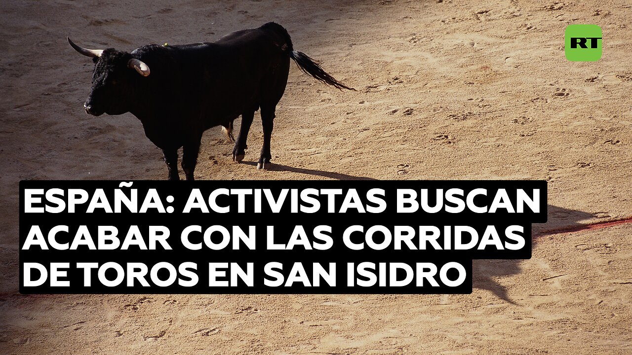 Activistas en España buscan acabar con las corridas de toros en San Isidro