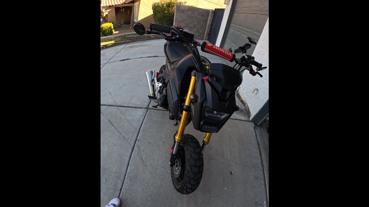 Honda grom vtec pull