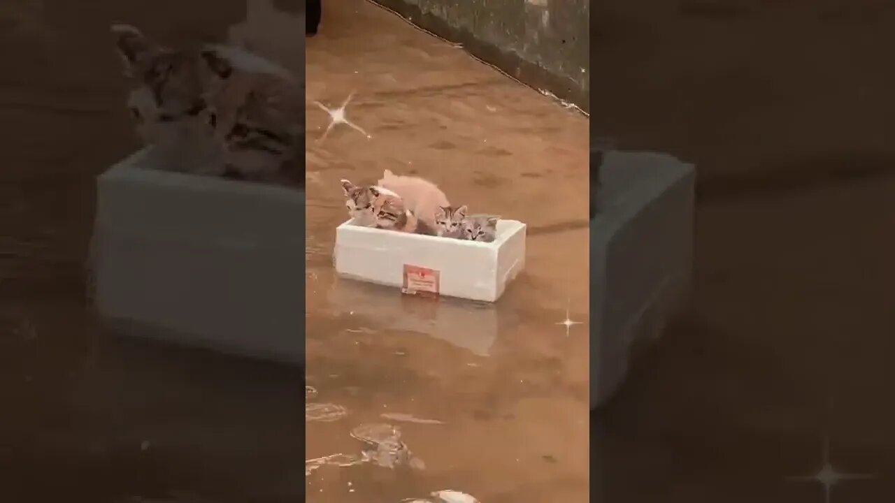 #funny