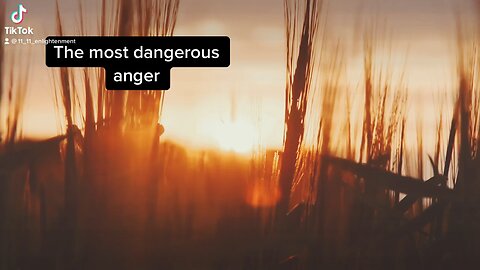 The Most Dangerous