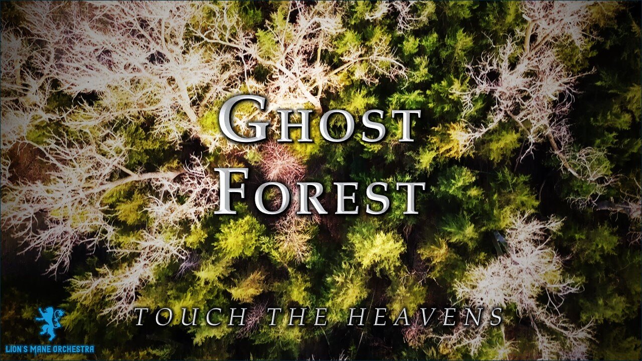 Ghost Forest | 4K Scenic Short Film