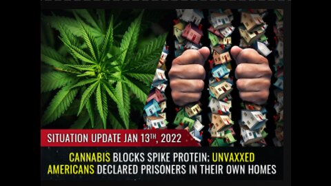 Cannabis blocks SPIKE PROTEIN!!!