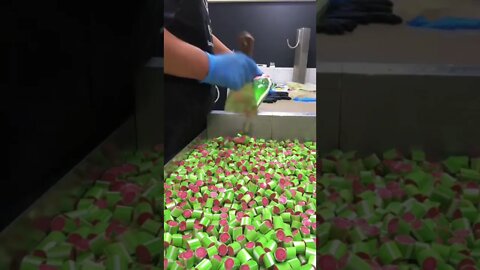 #shorts #2022 funny,prank,funjokes,dad jokes,funny memes,funny video,fun,laughing,funny animal,knock