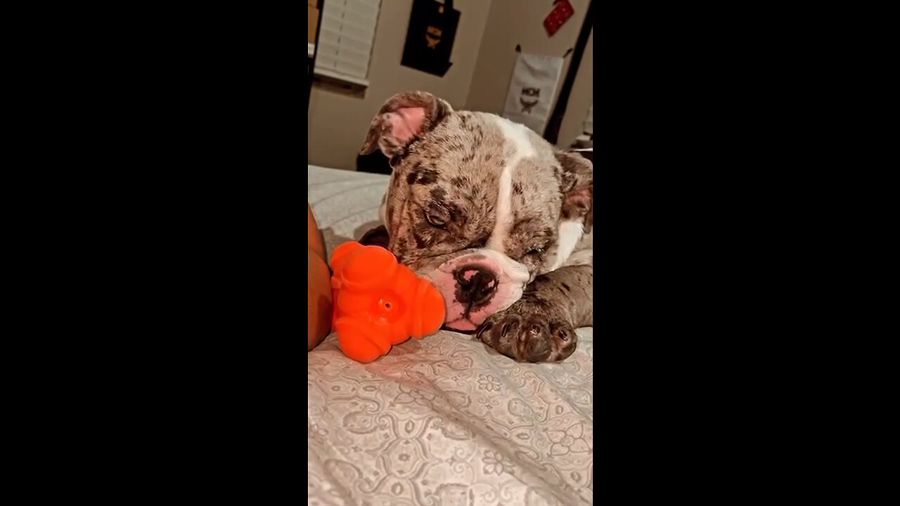 My teddy bear 🧸 🥹