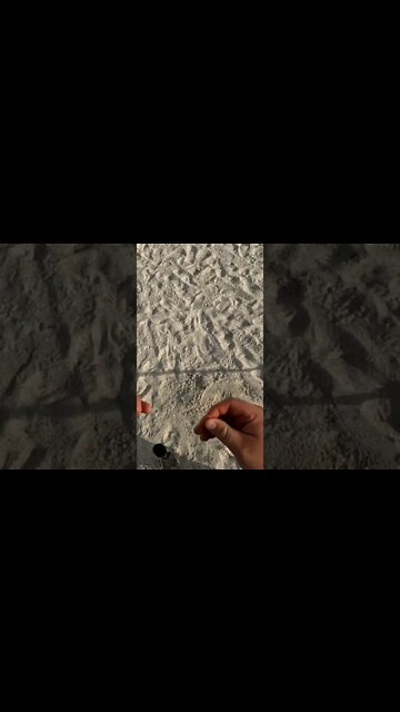 silver time metal detecting ##shorts