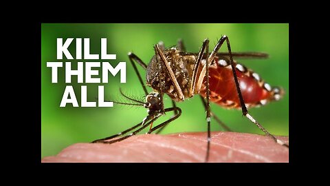 What If We Killed Every Mosquito On Earth?