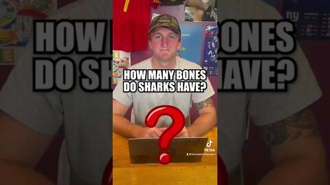 Trivia Time!! How Many Bones Do Sharks Have?! #fyp #sharks #trivia #questions #nfl #logos