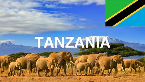 Invest In Tanzania | Investment Incentives | Invest In Africa | Wayne Fox