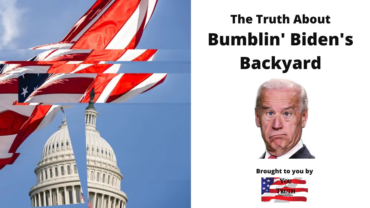 Bumblin' Biden's Backyard