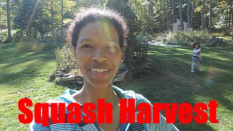 Winter squash harvest & some chick tv