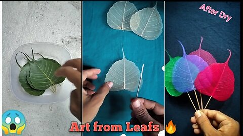 Amazing Art from Dry Leafs