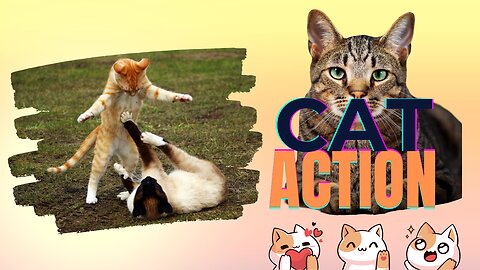 Action Cat | Funny | Cats And Dog | Video | 2023 | 😂😺