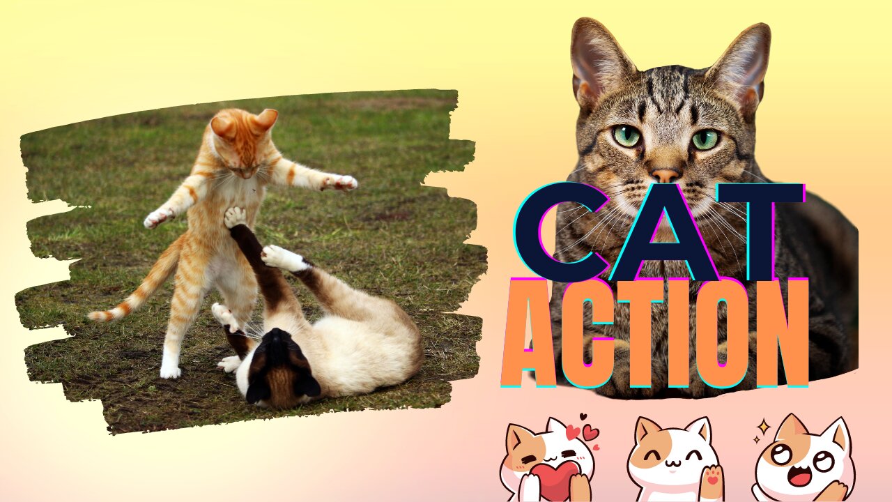 Action Cat | Funny | Cats And Dog | Video | 2023 | 😂😺