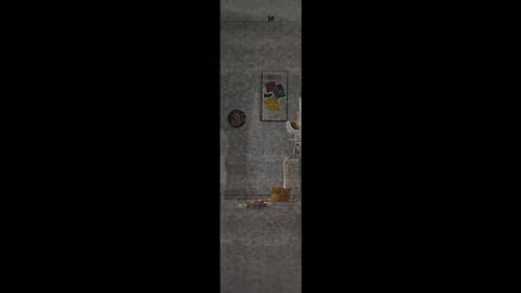 Cute cat video