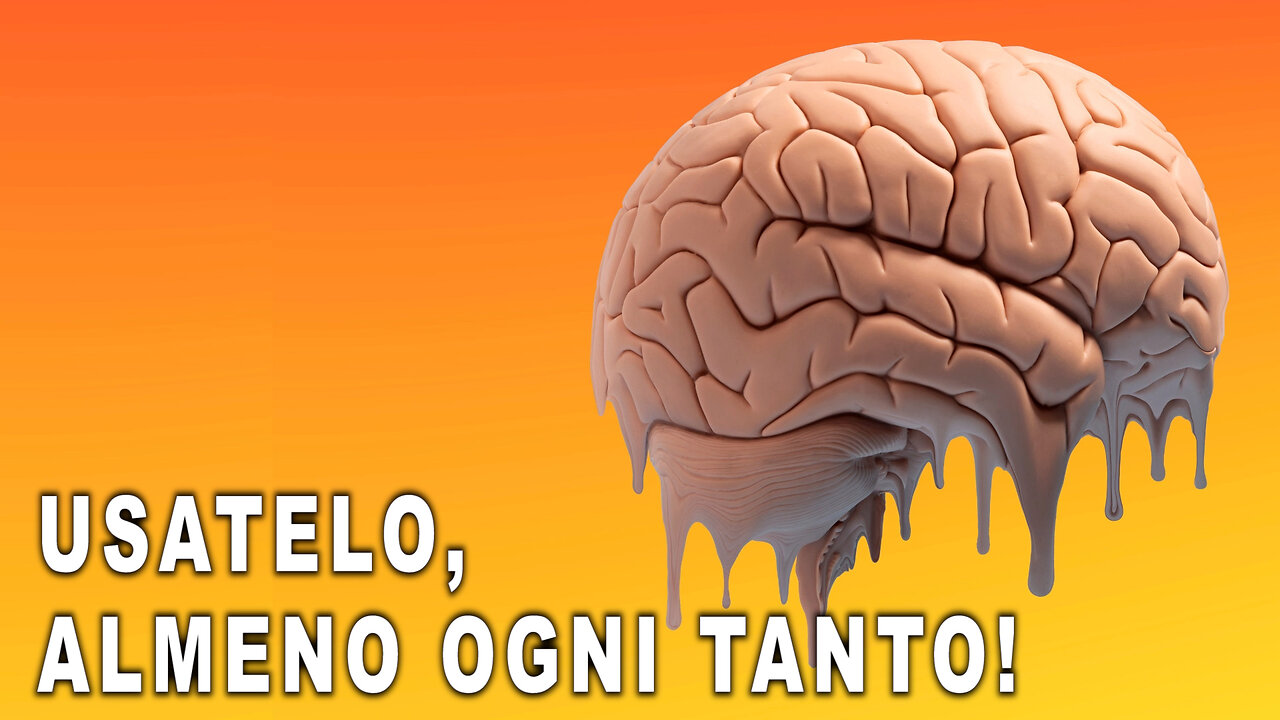 Usate il cervello, almeno ogni tanto!